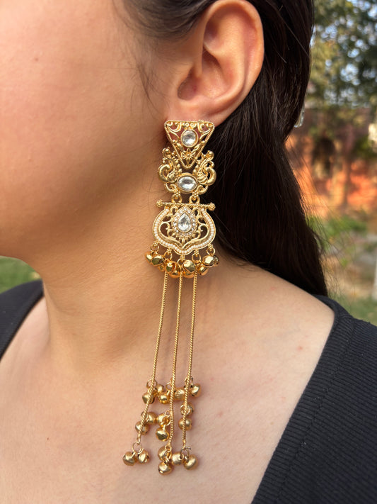 Morden Kashmiri Long Earrings