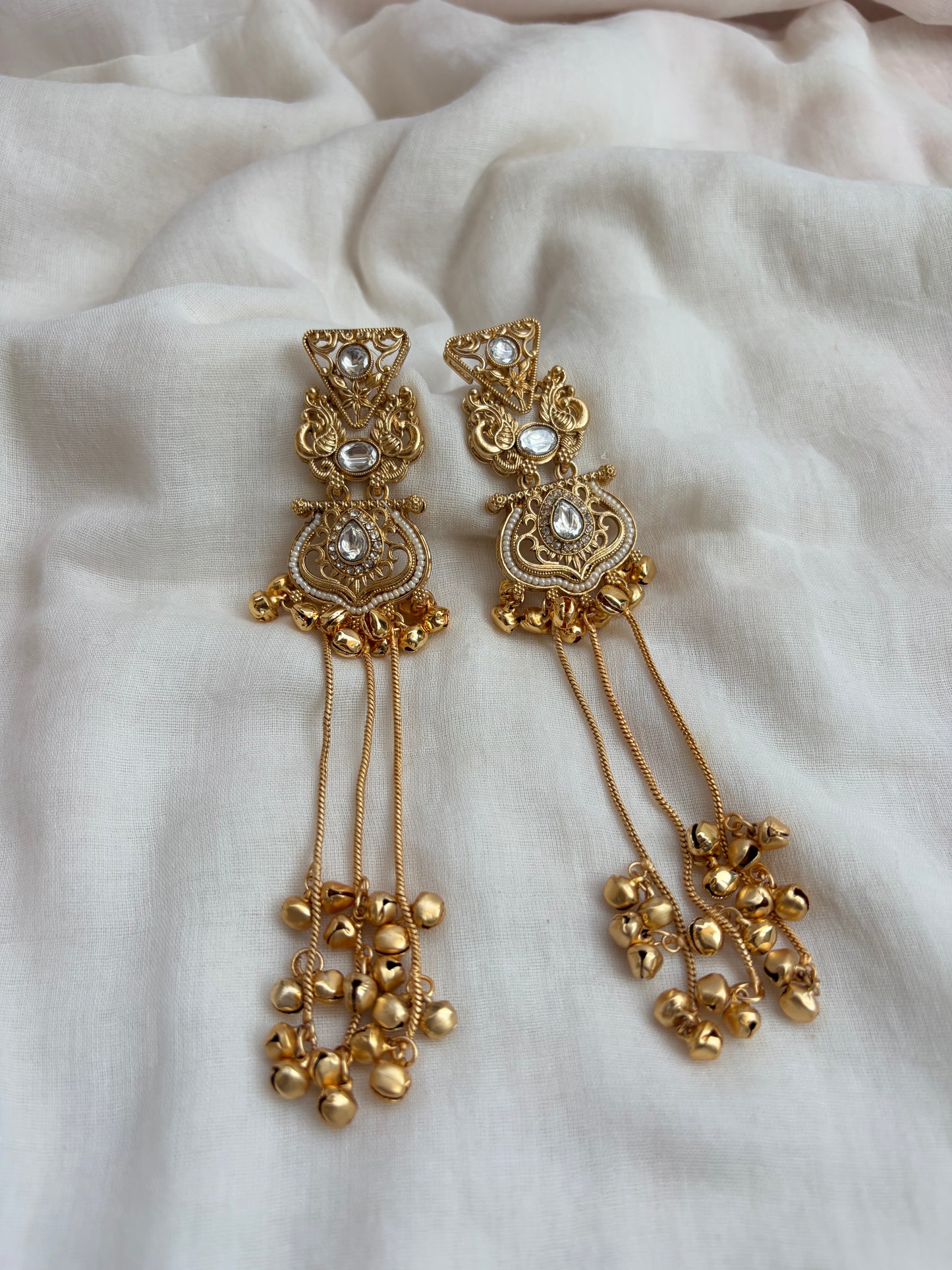 Morden Kashmiri Long Earrings