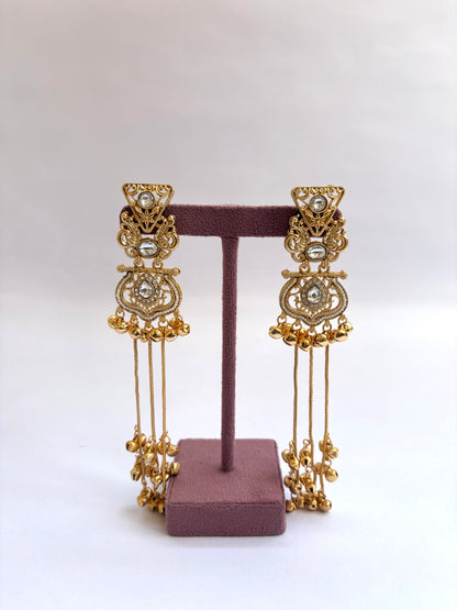 Morden Kashmiri Long Earrings
